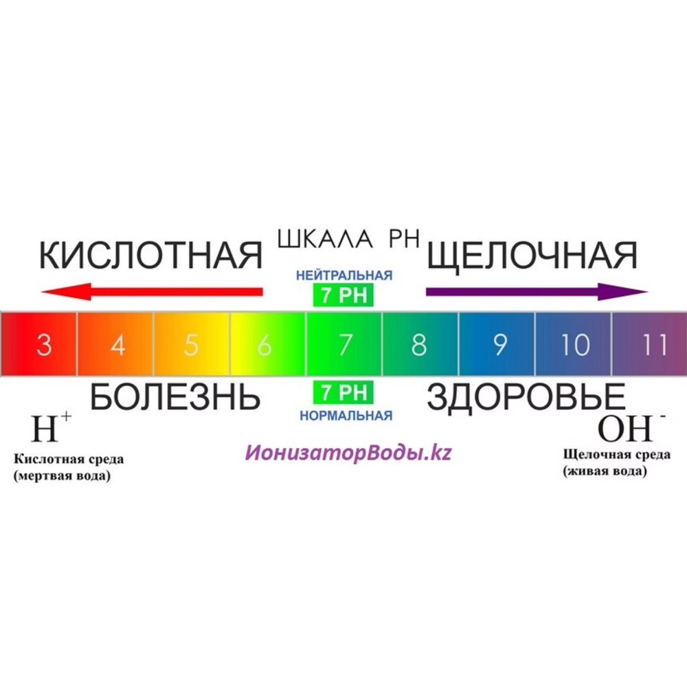 Пш цвета. Шкала кислотности PH. РН кислотность шкала. Шкала кислотно щелочного баланса.